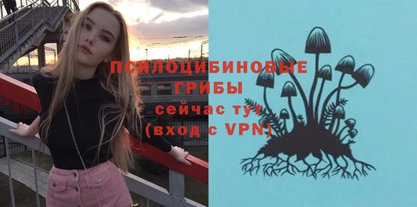 винт Верея