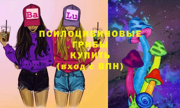 винт Верея