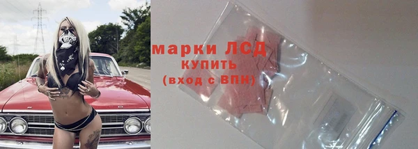 винт Верея