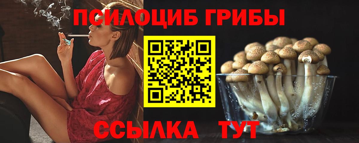 Псилоцибиновые грибы Psilocybe  Вход с VPN  Галлюциногенные грибы Cubensis  купить наркотики цена  Мончегорск 