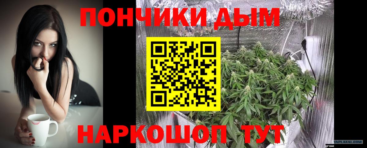Марихуана гибрид Мончегорск